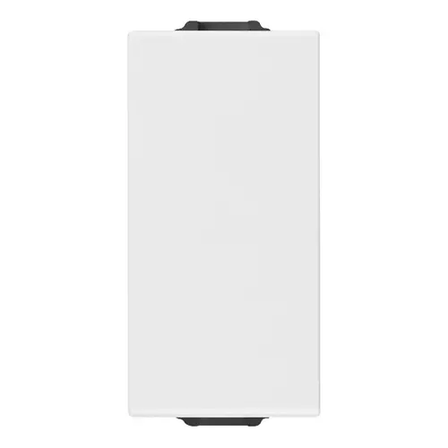 Blank module white