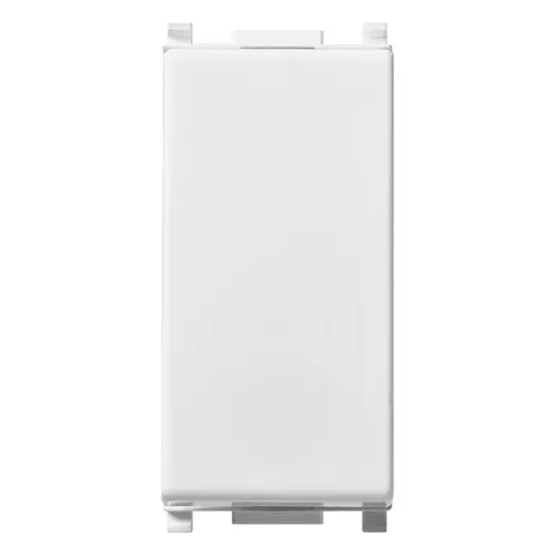 Blank module white